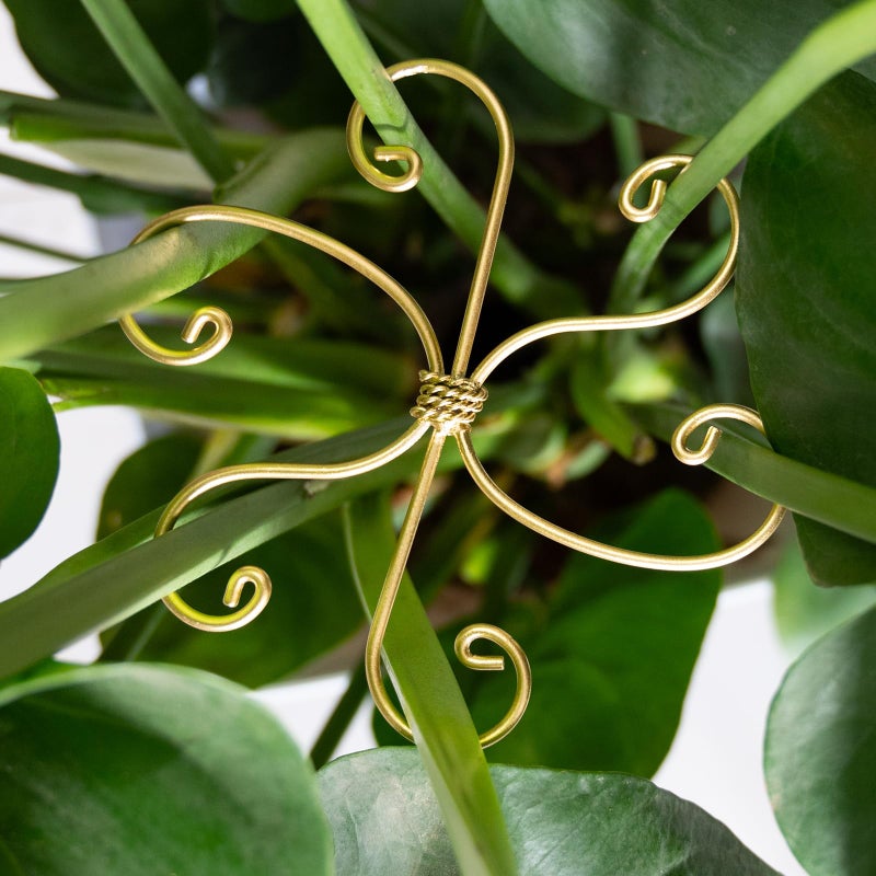 خطاف دعم جذع نبات Monstera 5 قطع من Goooxim - مثبت جذعي معدني متين مقاس 6.5 * 6.5 بوصة لنباتات Monstera وصبار هيكل السمكة - حامل أوراق حماية لطيف - سهل التركيب - مجموعة من 5 قطع - Image 1